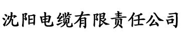 国产亚洲精选电缆厂logo